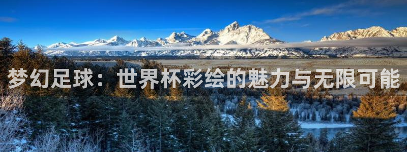 世界杯足球直播:梦幻足球:世界杯彩绘的魅力与无限可能