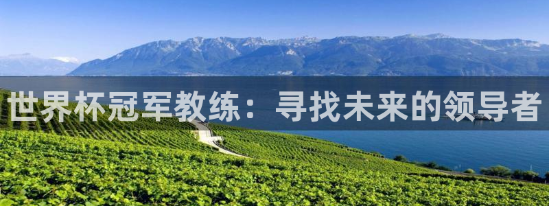2026世界杯小组赛赛程时间表:世界杯冠军教练:寻找未来的领导者