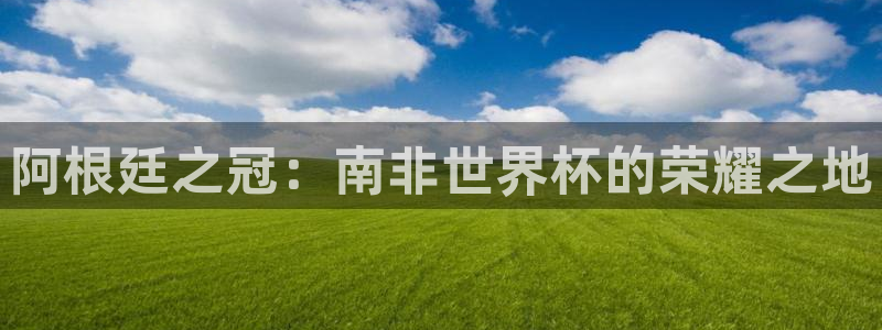 世界杯系列赛:阿根廷之冠:南非世界杯的荣耀之地