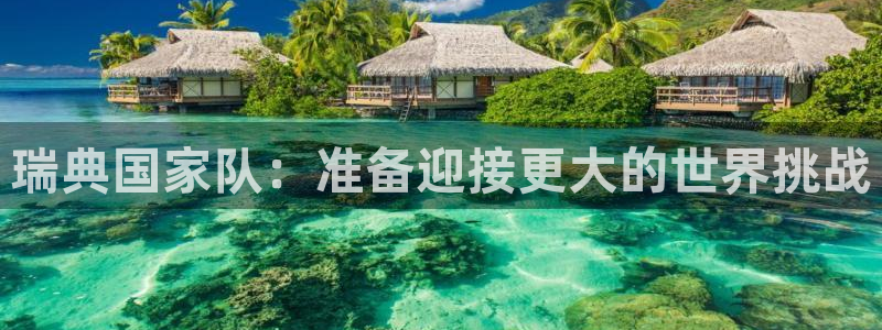 世界杯直播:瑞典国家队:准备迎接更大的世界挑战
