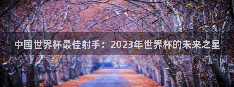 世界杯2026赛制:中国世界杯最佳射手:2023年世界杯的未来之星