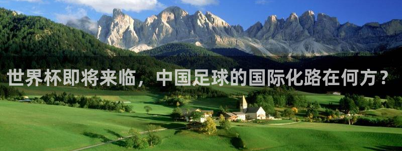 美国世界杯:世界杯即将来临,中国足球的国际化路在何方?