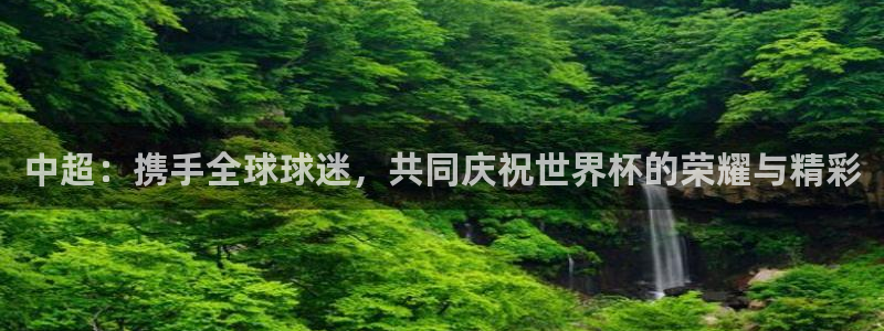 足球世界杯预选赛:中超:携手全球球迷,共同庆祝世界杯的荣耀与精彩